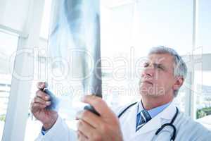 Serious doctor analyzing xray