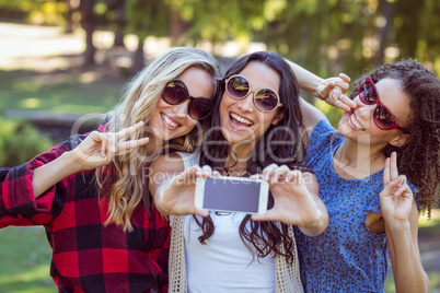 Happy hipsters taking a selfie in the park
