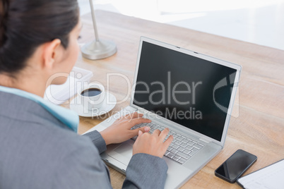 Businesswoman using her computer