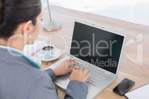 Businesswoman using her computer