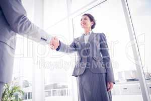 Business colleagues greeting each other