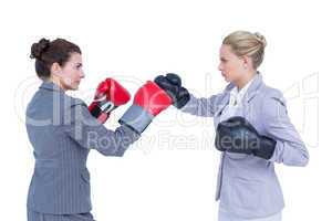 Businesswomen with boxing gloves fightin