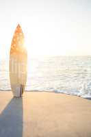 surf board standing on the sand