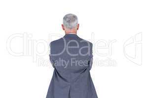 Wear view of businessman with grey hair