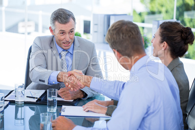 Business team during meeting