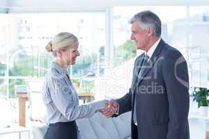 Businesswoman shaking hands with a businessman