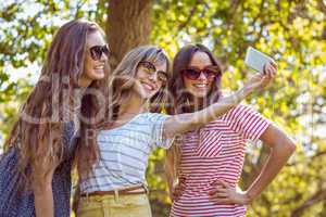 Happy friends taking a selfie