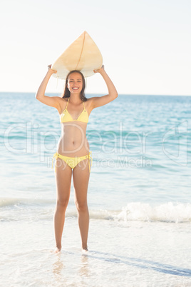 Pretty brunette holding surf board