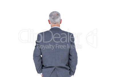 Wear view of businessman with grey hair
