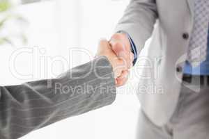 Business partners shaking hand together