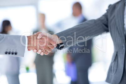 Businessman shaking hands with a co worker