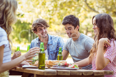 Happy friends in the park having lunch