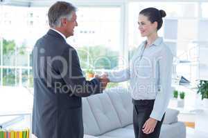 Businesswoman shaking hands with a businessman