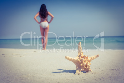 Pretty brunette and starfish on the beach