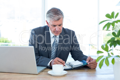 Businessman checking his diary