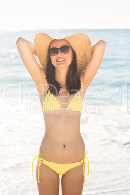 Brunette relaxing with a straw hat smiling at camera