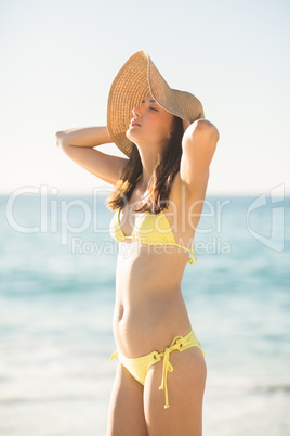 Brunette relaxing with a straw hat