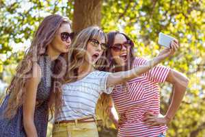 Happy friends taking a selfie