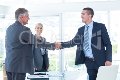 Business partners shaking hands