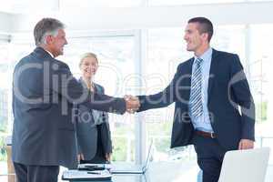 Business partners shaking hands