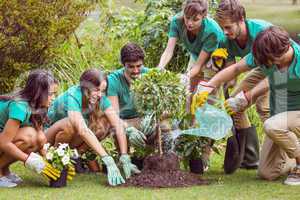 Happy friends gardening for the community