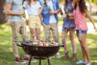 Happy friends in the park having barbecue