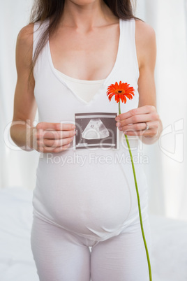 Happy pregnancy showing a picture and take a flower