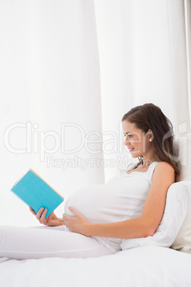 Smiling pregnancy reading a book