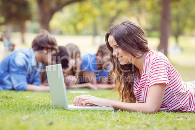 Pretty brunette using laptop in the park