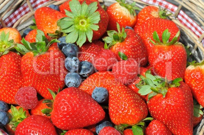 Erdbeeren,Blaubeeren,Himbeeren Mix im Korb