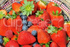 Erdbeeren,Blaubeeren,Himbeeren Mix im Korb