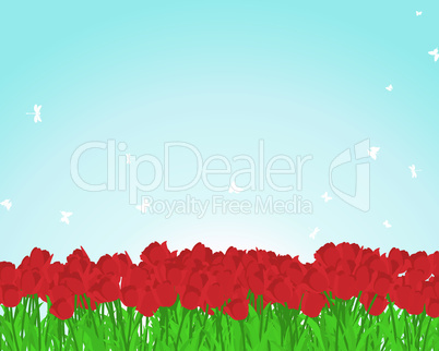 Red tulips meadow