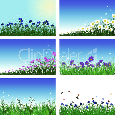 Meadow color background set