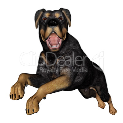 Rottweiller dog runnning - 3D render