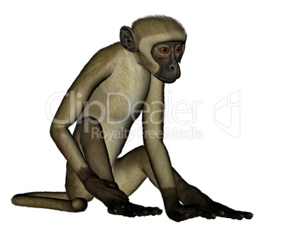 Monkey sitting - 3D render