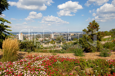 Few of a city from a park.