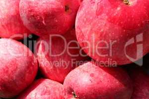 ripe red apples