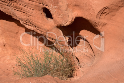 Valley of Fire, Nevada, USA