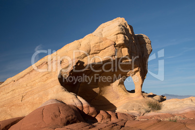 Elephant Rock, Valley of Fire, Nevada, USA