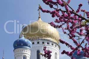 background .  church and the flowering trees