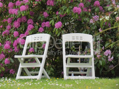 Gartenstühle am Blumenbusch