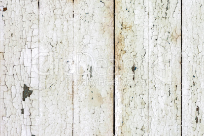 Vintage  white background wood wall.