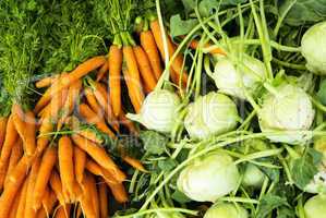 Karotten und Kohlrabi auf einem Wochenmarkt