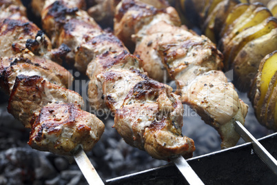 shish kebab on skewers