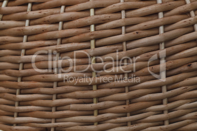 beautiful basketry willow