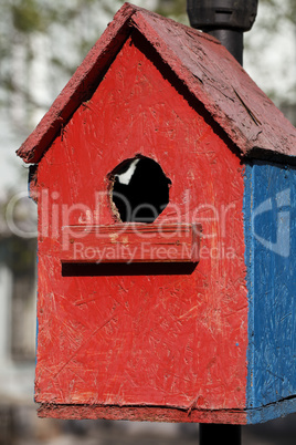 bright red bird house