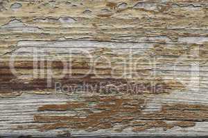 Beautiful wood texture