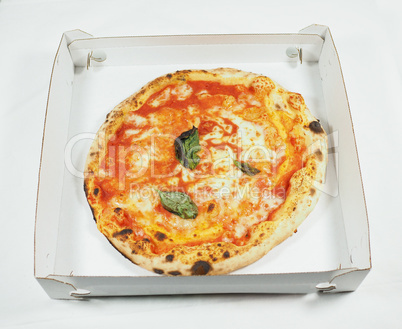 Margherita pizza carton