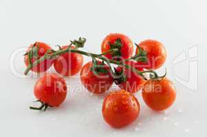 Tomatoes on white background