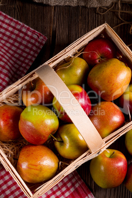 autumn Apple